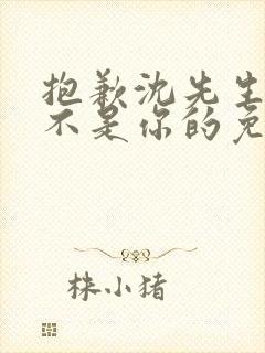 抱歉沈先生孩子不是你的免费全集观看