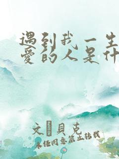 遇到我一生中最爱的人是什么歌