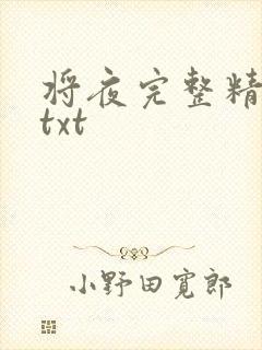 将夜完整精校版txt