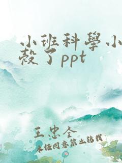 小班科学小鸡出壳了ppt