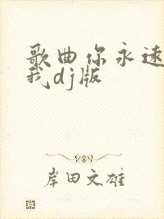 歌曲你永远不懂我dj版