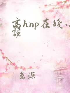 高hnp在线小说