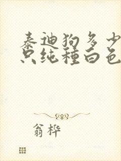 泰迪狗多少钱一只纯种白色