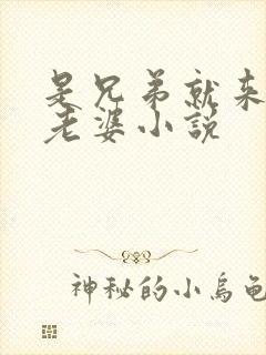 是兄弟就来c我老婆小说