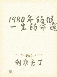 1980年的猴一生的命运