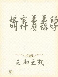 娘家弟弟的女儿叫什么称呼