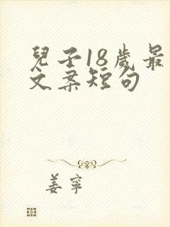 儿子18岁最火文案短句