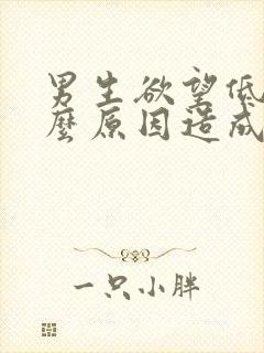 男生欲望低是什么原因造成的