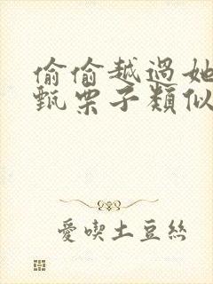 偷偷越过她by甄栗子类似小说