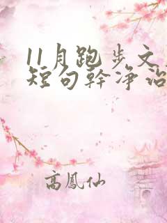 11月跑步文案短句干净治愈