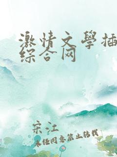 激情文学插进来综合网