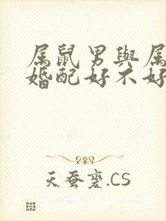 属鼠男与属猪女婚配好不好