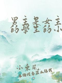 男主是女主父亲的学生的小说