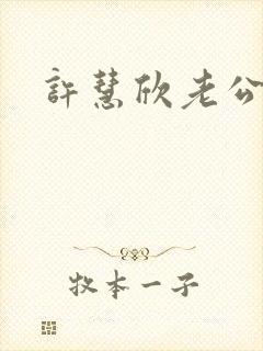 许慧欣老公是谁