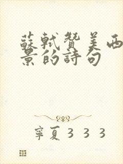 苏轼赞美西湖美景的诗句