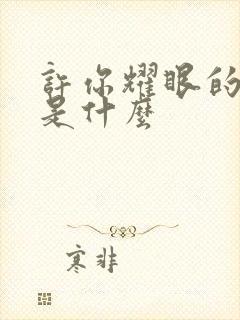 许你耀眼的结局是什么