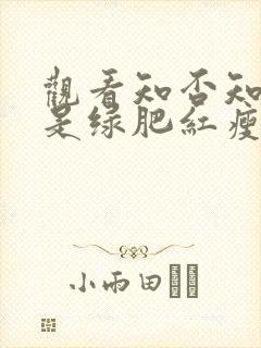 观看知否知否应是绿肥红瘦电视剧