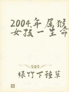 2004年属猴女孩一生命运怎样