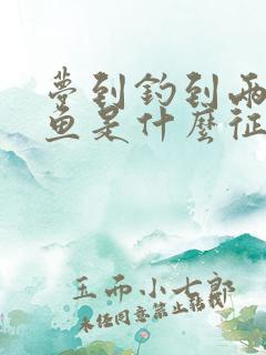 梦到钓到两条大鱼是什么征兆