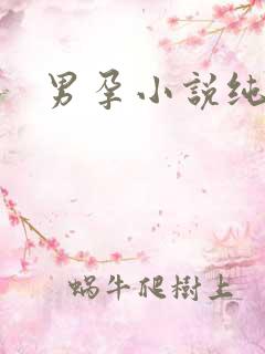 男孕小说纯生产