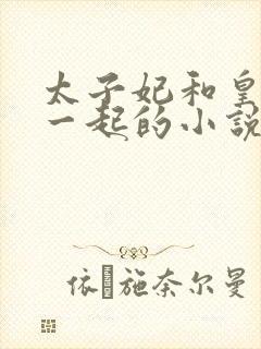 太子妃和皇上在一起的小说