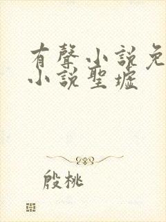 有声小说免费听小说圣墟