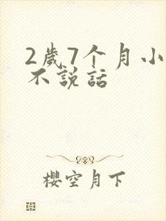 2岁7个月小孩不说话