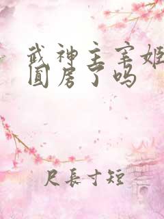 武神主宰姬如月圆房了吗