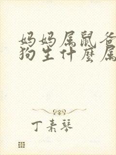 妈妈属鼠爸爸属狗生什么属相宝宝好