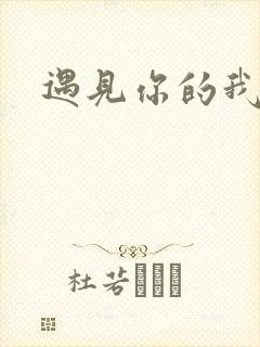 遇见你的我歌词