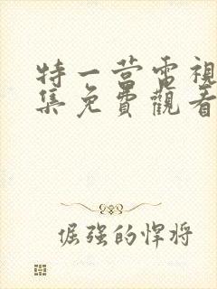 特一营电视剧全集免费观看