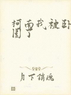 柯南我被卧底包围了