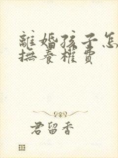 离婚孩子怎么判抚养权费