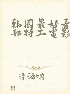 韩国最好看的十部特工电影