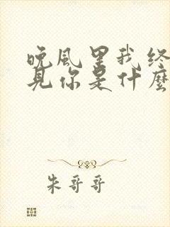 晚风里我终于遇见你是什么歌