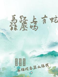 马路上有蛇开车能压吗