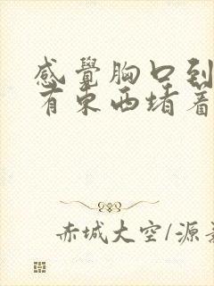 感觉胸口到喉咙有东西堵着