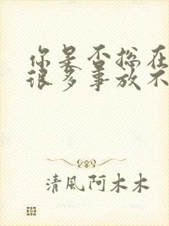 你是否总在讲有很多事放不下这首歌是什么歌