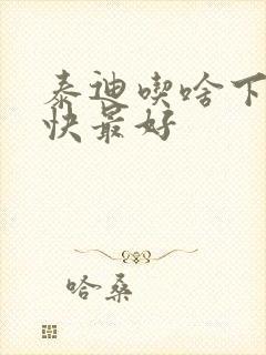 泰迪吃啥下奶最快最好