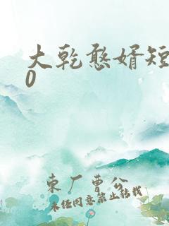 大乾憨婿短剧60