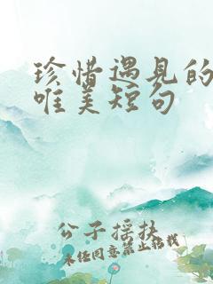 珍惜遇见的句子唯美短句