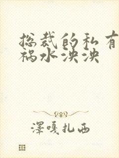 总裁的私有宝贝祸水泱泱