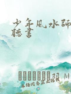 少年风水师在线听书
