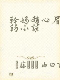 干妈赵心眉陈斌的小说