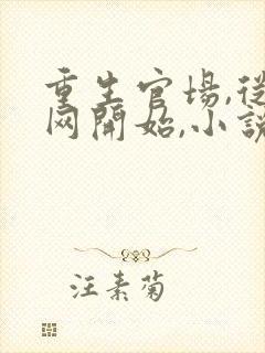 重生官场,从落网开始,小说