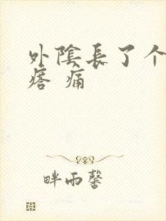 外阴长了个硬疙瘩 痛