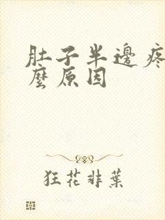 肚子半边疼是什么原因