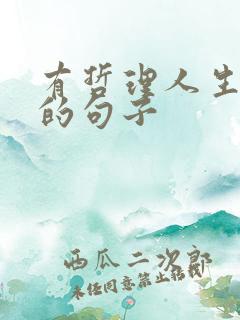 有哲理人生感悟的句子