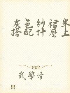 灰色纱裙半身裙搭配什么上衣好看