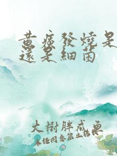 黄痰发烧是病毒还是细菌